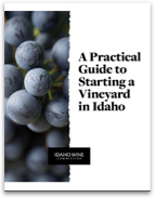 A Practical Guide to Starting a Vineyard in Idaho